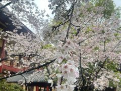 -庐山风景名胜区-东林大佛
