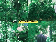 -上海自然博物馆