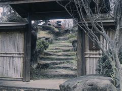 -秀丽东方