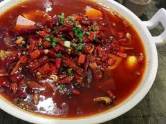 毛血旺-庆合府重庆大排档(紫都城店)
