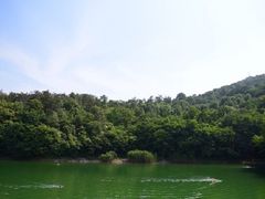 -紫金山天文台