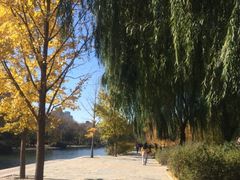 -元大都城垣遗址公园