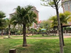 -灵玲国际马戏城