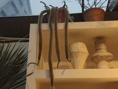 -自由生长植物工作室(深港花卉中心店)