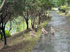 -石塘人家