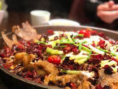 老板恋上鱼-老板恋上鱼(荣盛广场店)