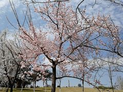 -长春世界雕塑园冰雪艺术天地