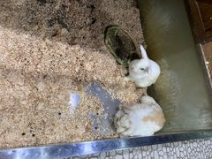 -上海大自然野生昆虫馆