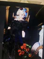 -左岸摄影写真(天津旗舰店)