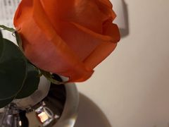 -佐度王子扒房(爱建卓展店)