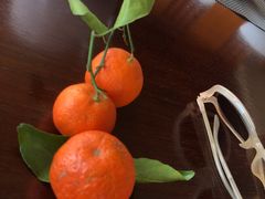 -蜈支洲岛珊瑚酒店临海阁中餐厅