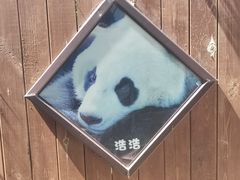 -ZOO COFFEE动物园咖啡(红山森林动物园店)