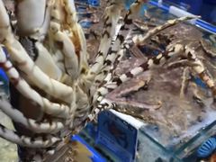 -鸿港海鲜批发市场