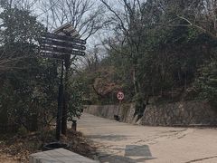 -紫金山山顶公园