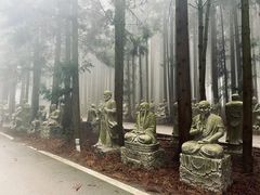 -武陵山森林公园