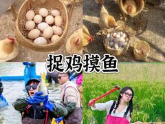 -上海山野camping·户外天幕烧烤·团建拓展营地