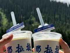 -新疆那拉提国家旅游度假区