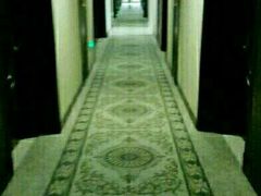 -维也纳国际酒店·上海虹桥火车站国家会展中心店