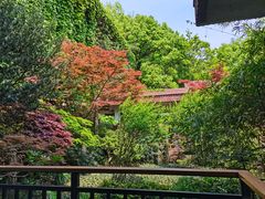 -中国茶叶博物馆(双峰馆区)