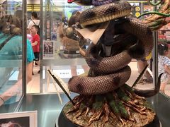 -TOP TOY(新南凯德广场店)