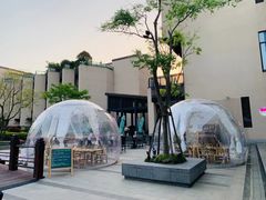 -上海崇明金茂凯悦酒店