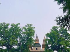 -北京石刻艺术博物馆(五塔寺)