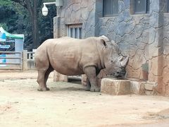 -昆明动物园