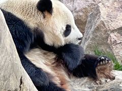 -宁波野生动物园