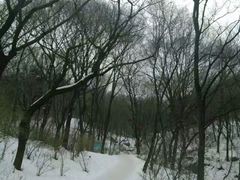 -高尔山公园