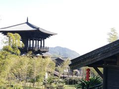 -大唐贡茶院