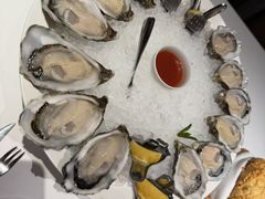 -Oyster Talks 四度蚝法餐厅