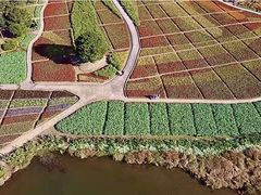 -广州市石门国家森林公园