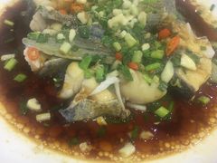 -全乐鱼馆·淳牌有机鱼直营店