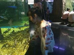 -成都浩海立方海洋公园