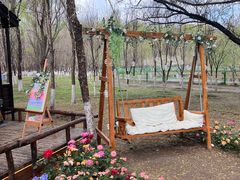 -长白岛森林公园