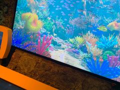 -沈阳海洋探索中心