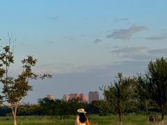 -汉长安城未央宫国家考古遗址公园