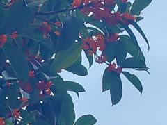 -壹笑茶庄