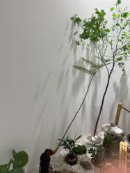 -RUMI日弥美容会所