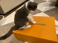 -LV路易威登(杭州万象城店)