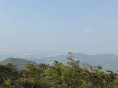-广州市帽峰山景区
