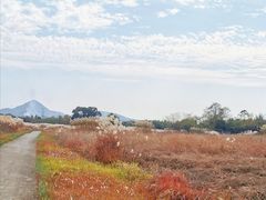 -良渚古城遗址公园