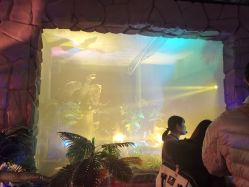 点击看大图 -恐龙探索乐园(磁器口店)