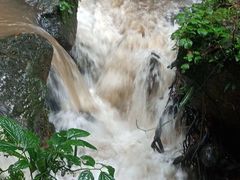 -莫里热带雨林景区