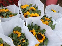 -循礼门鲜花花市(武汉循礼门店)