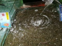 -渔民新村(番禺总店)