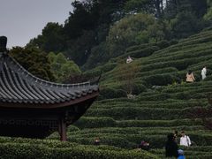 -法云安缦酒店