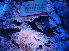 -周口店北京人遗址公园