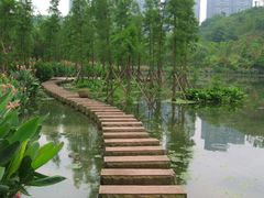 -重庆彩云湖湿地公园