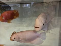 -宁海食府(大剧院店)